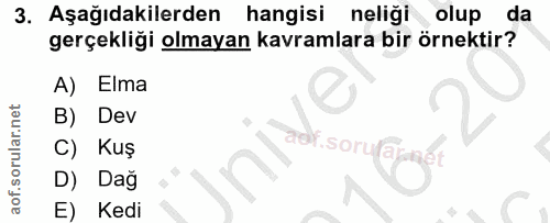 Soru 3