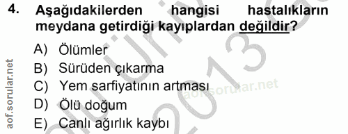 Soru 4