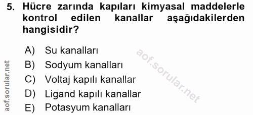Soru 5