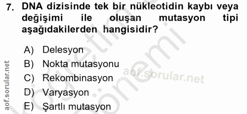 Soru 7