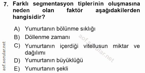 Soru 7