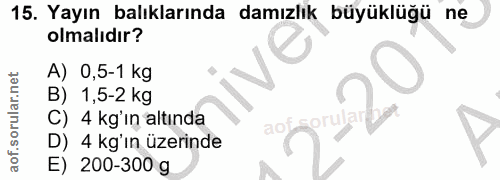 Soru 15