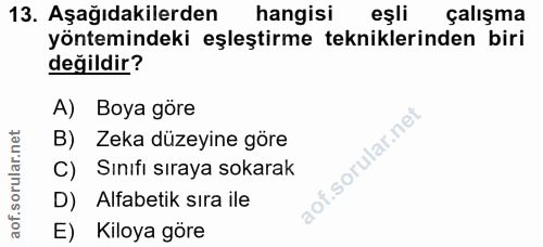 Soru 13