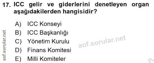 Soru 17