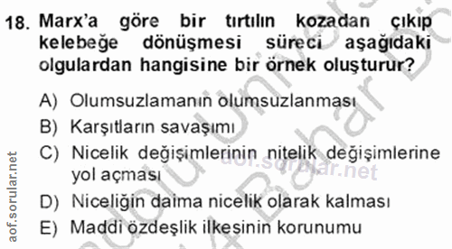 Soru 18