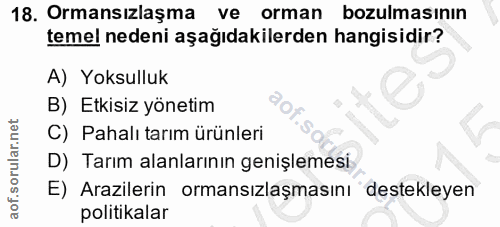 Soru 18