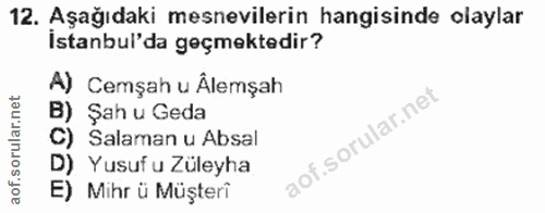 Soru 12