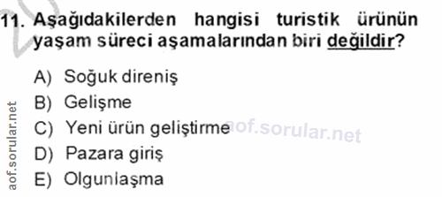 Soru 11