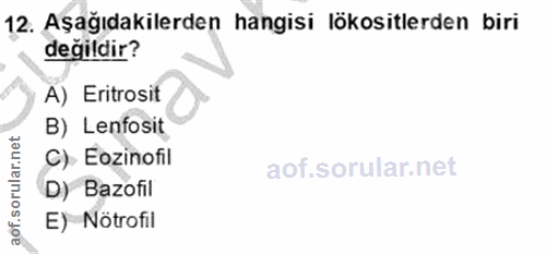 Soru 12