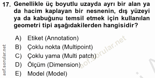 Soru 17