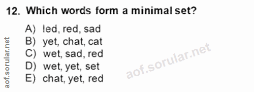 Soru 12