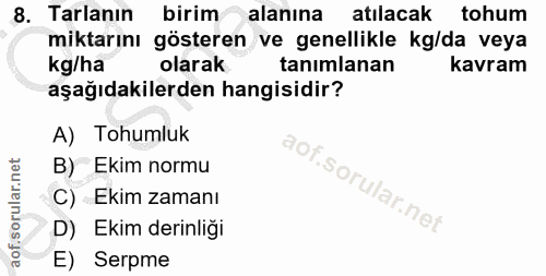 Soru 8