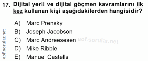 Soru 17