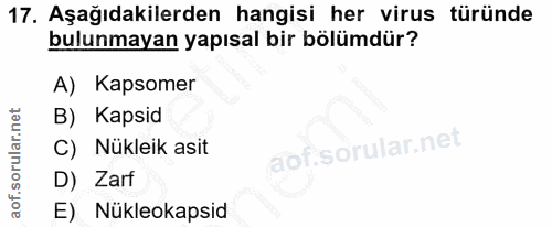 Soru 17