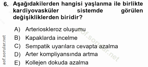 Soru 6