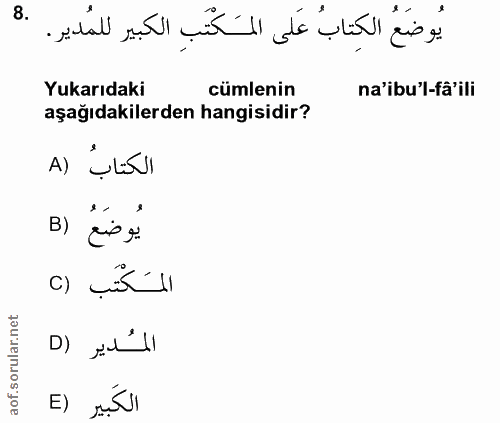 Soru 8