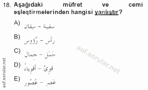 Soru 18