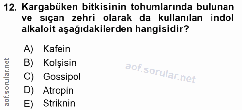 Soru 12