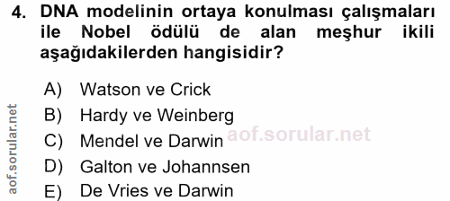 Soru 4