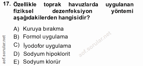 Soru 17