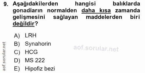 Soru 9