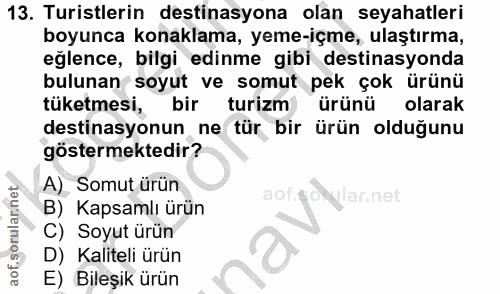 Soru 13