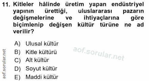 Soru 11