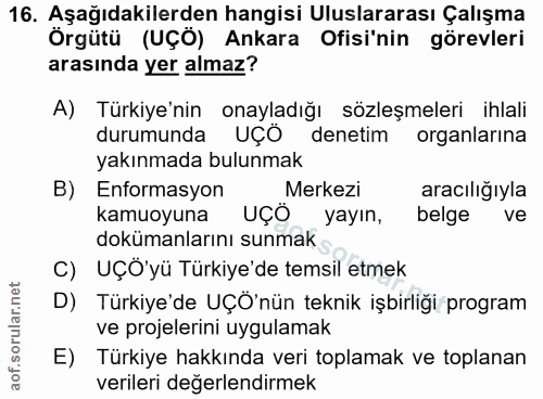 Soru 16