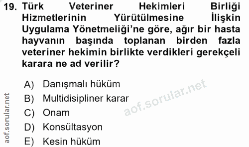 Soru 19
