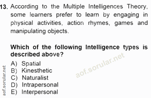 Soru 13