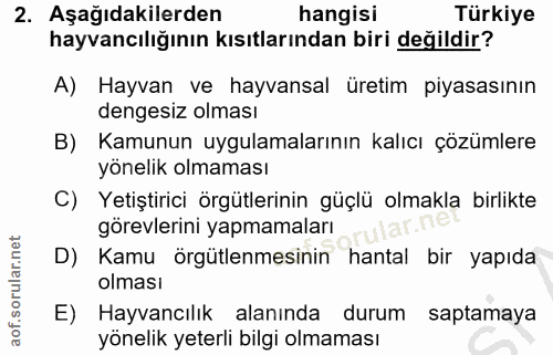 Soru 2