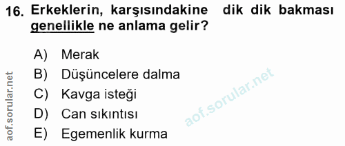 Soru 16