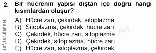 Soru 2