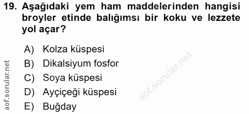 Soru 19