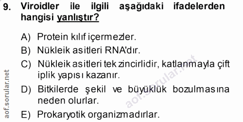 Soru 9