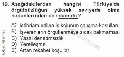 Soru 19