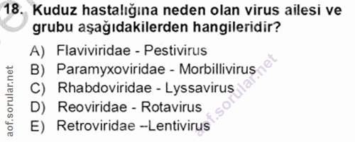 Soru 18