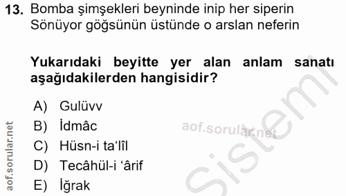 Soru 13