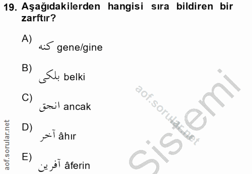 Soru 19