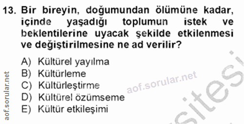 Soru 13