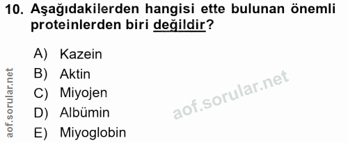Soru 10