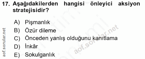 Soru 17
