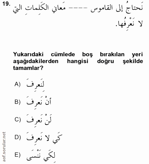 Soru 19