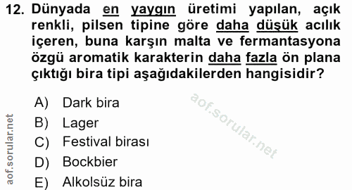 Soru 12