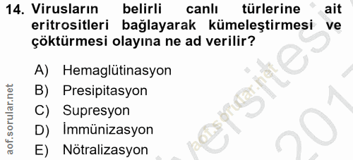 Soru 14