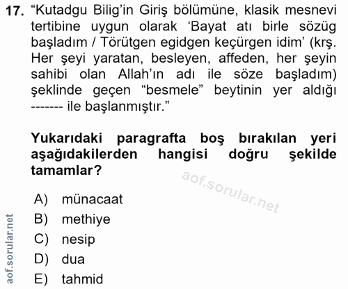 Soru 17