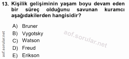 Soru 13