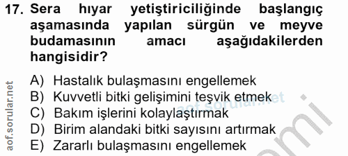 Soru 17