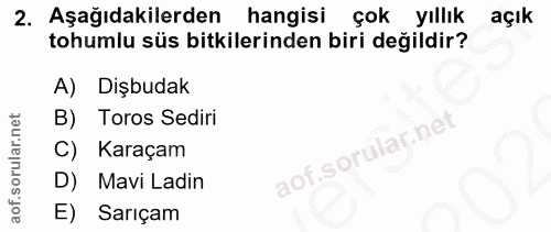 Soru 2