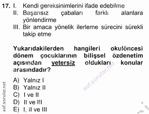 Soru 17